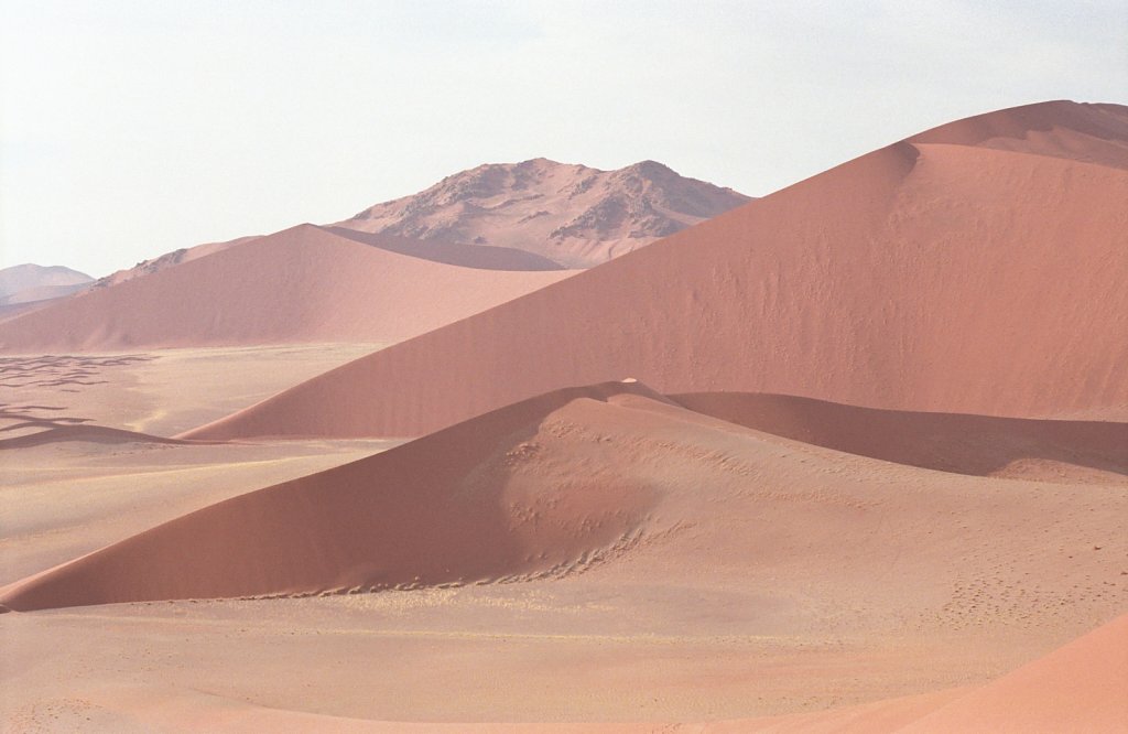 The tallest dunes